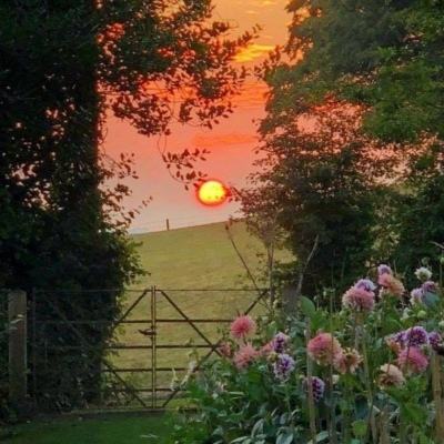 竞猜足球appapp下载截图