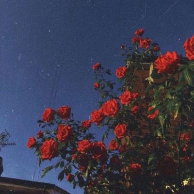 爱游戏下载手机版