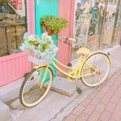 鸭脖app下载app下载