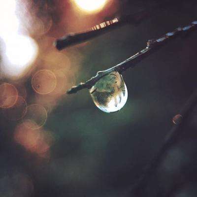 金沙集团186cc成色