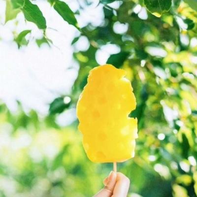 波胆app官网手机app下载截图