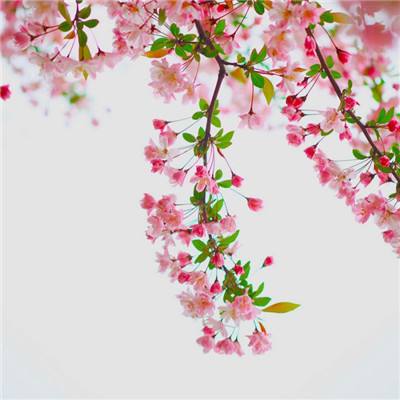 易倍手机app下载